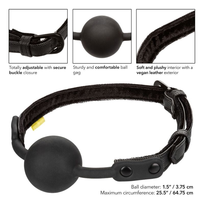 CALEXOTICS – GELD-BALL OHNE GRENZEN