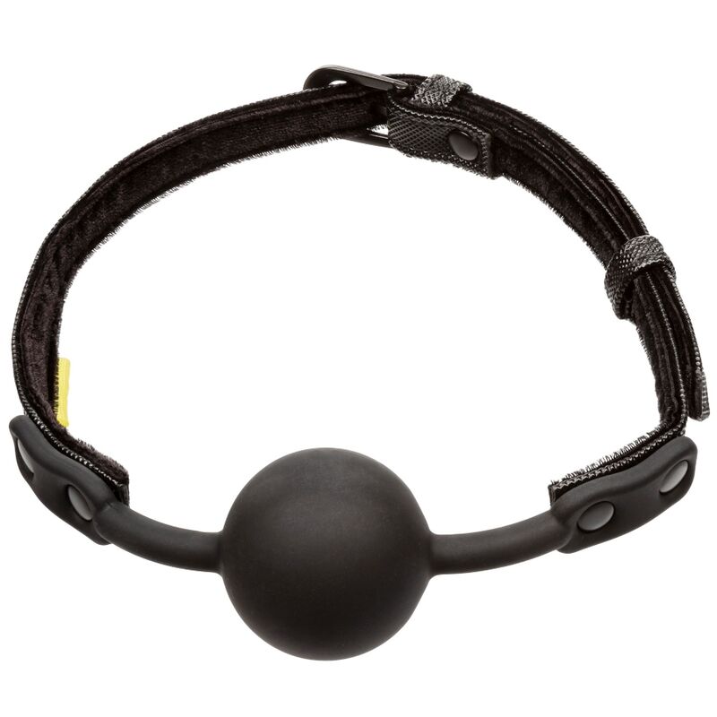 CALEXOTICS – GELD-BALL OHNE GRENZEN
