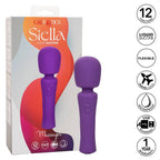 CALEXOTICS - STELLA MINI MASSEUR WAND