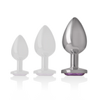 INTENSE - PLUG ANAL EN MÉTAL ALUMINIUM AVEC CRISTAL VIOLET TAILLE L