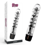 GLOSSY - VIBRATOR LENNY SCHWARZ