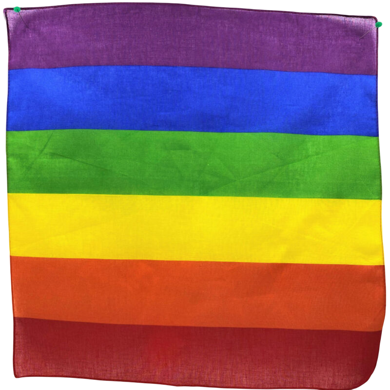 PRIDE - LGBT-HALSTUCH 50 X 50