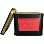 https://dreamlove.gesio.be/productos/imagenes/img_165561_64e0612edded4e2765c0f47d9433d959_1.png