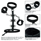 CALEXOTICS - BOUNDLESS HALSBAND MIT HALTUNG