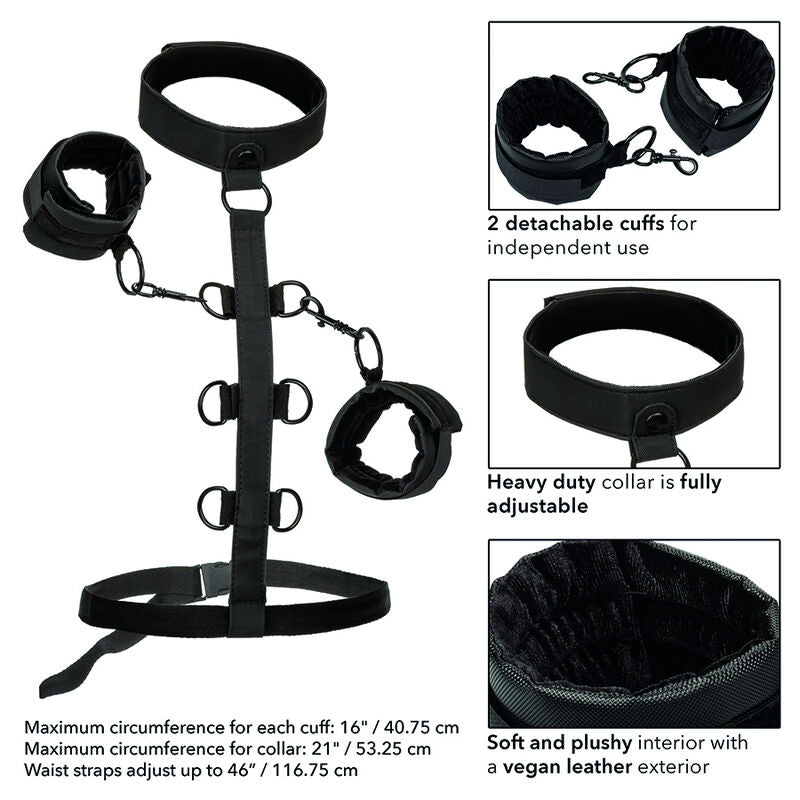 CALEXOTICS - BOUNDLESS HALSBAND MIT HALTUNG