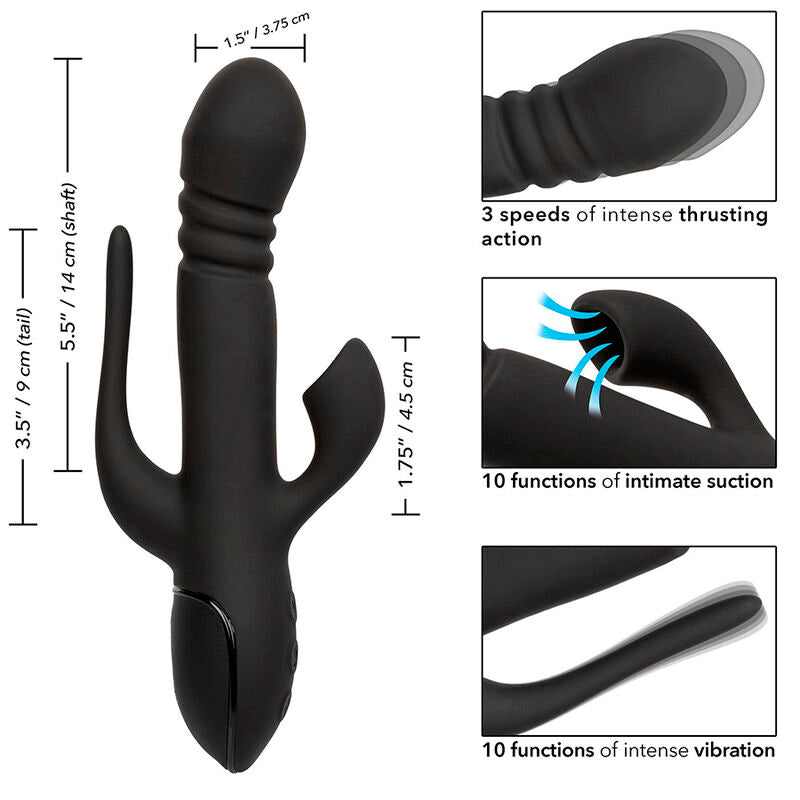 CALEXOTICS - DREIFACHER EUPHORIA-VIBRATOR SCHWARZ