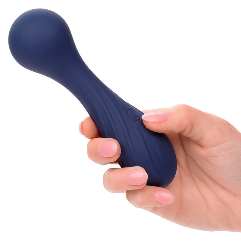 CALEXOTICS - CHARISMA TEMPTATION MASSEUR WAND