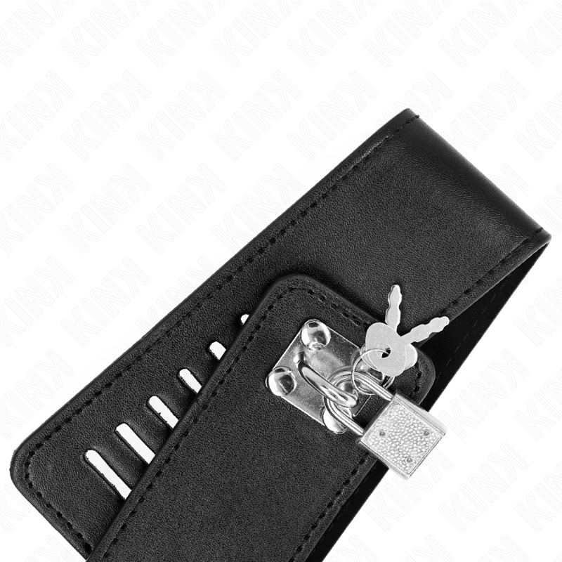 KINK - HALSBAND MIT GÜRTEL 116 CM MODELL 2 VERSTELLBAR 36-43 CM X 5 CM