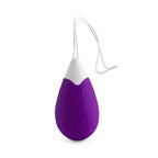 INTENSE – JAN LILAS FERNBEDIENUNGS-VIBRATIONSEI
