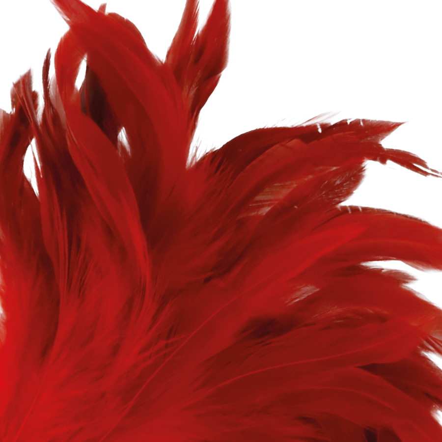 DARKNESS - STIMULIERENDER ROTER STIFT 24CM